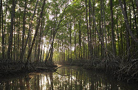 Indravati National Park 