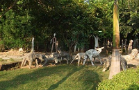 Kakatiya Rock Garden