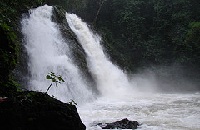 Kunchikal Falls