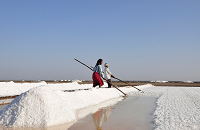 Little Rann of Kutch