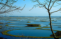 Loktak Lake 