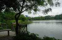 Lotus Lake 