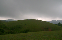 Meadows, Pine Forests, Waterfall and Lake