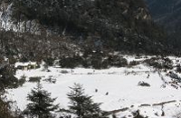Muguthang Valley Trek