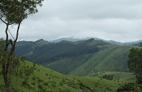 Murugan Hill (Murugan Mala)