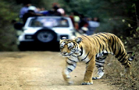 Nainital Zoo