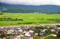 Paddy Fields and Fish Culture