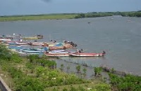 Pichavaram backwater