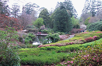 Rhododendrons Gardens