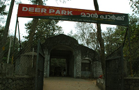 Smirthivanam And Deer Park