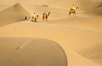 Thar Desert 