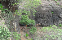 Torna Devi Temple 