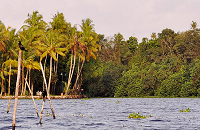 Vembanad Lake 