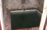 Yumthang Hot Water Springs