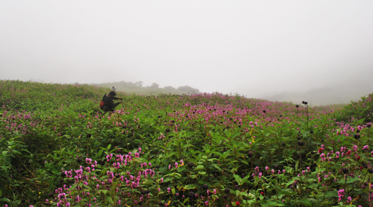 Chanap Valley Trek