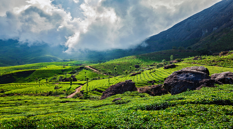 eravikulam national park tourism