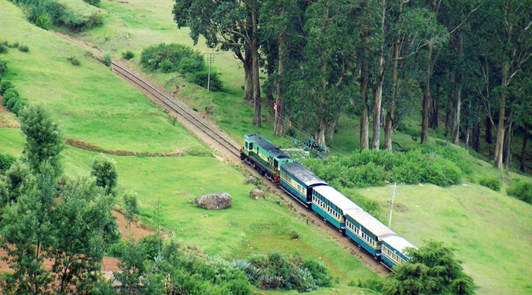 Hill Stations Of South India Tour