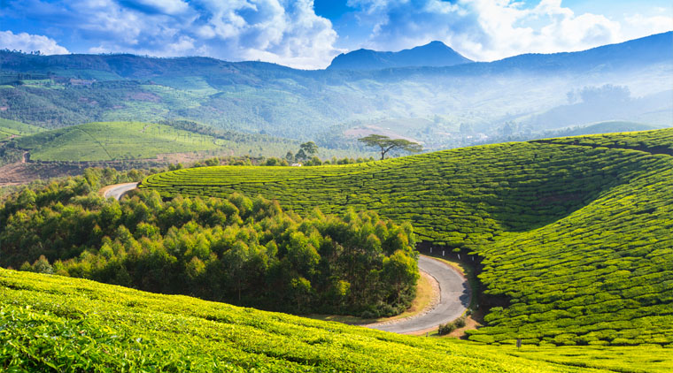 Kerala Nature Trails