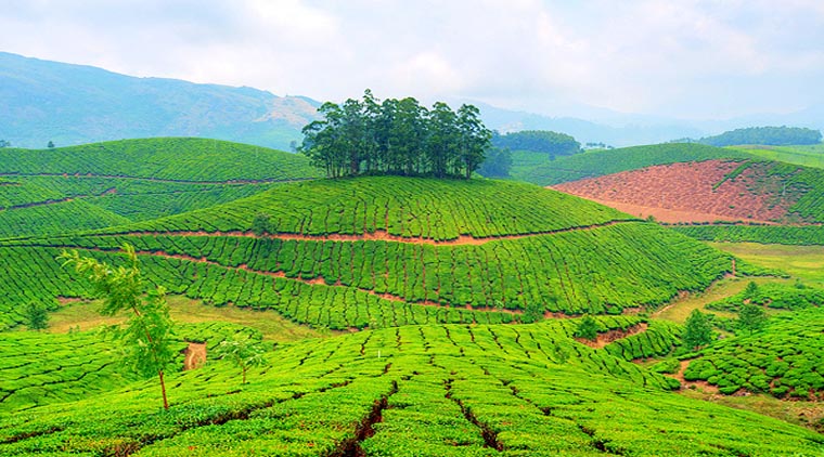 Munnar Hill Station Tour