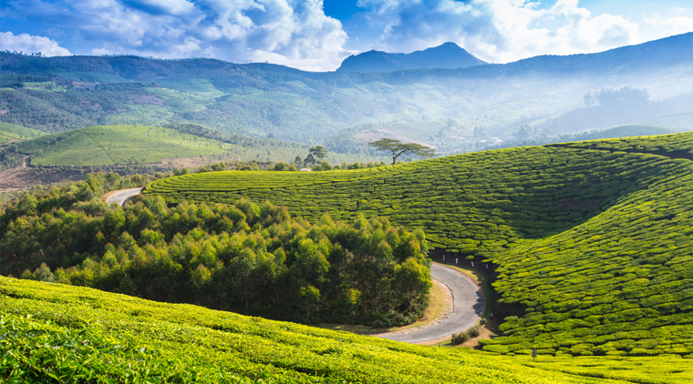 kerala and ooty tour package