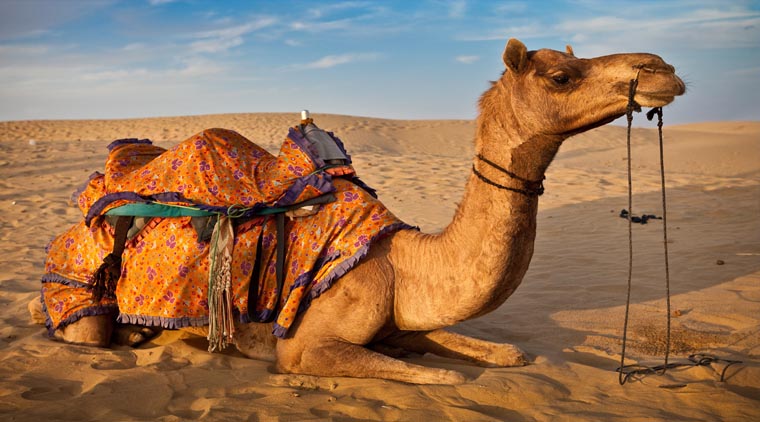 Rajasthan Desert Tour