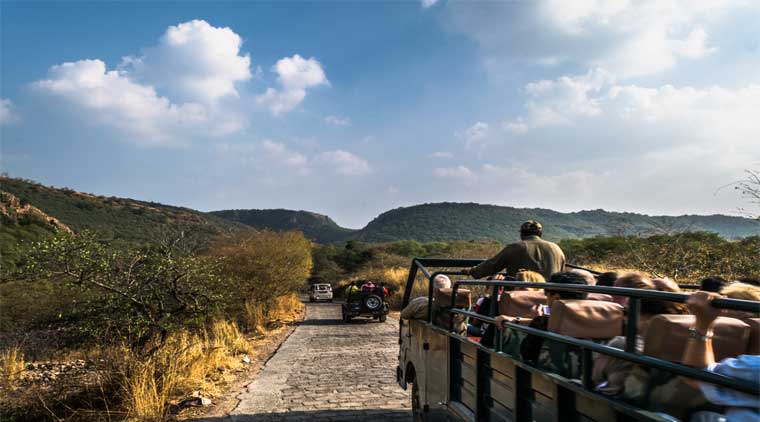 Ranthambore Jaipur Package