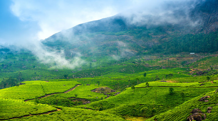 Ooty Kodaikanal Munnar Tour Package