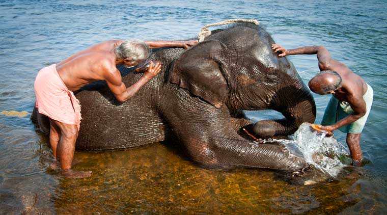 Tour Of South India