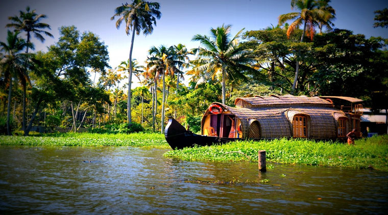 Kerala Trip Honeymoon Package