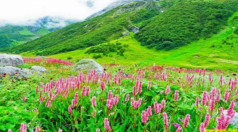 Valley of Flowers Trekking Tour