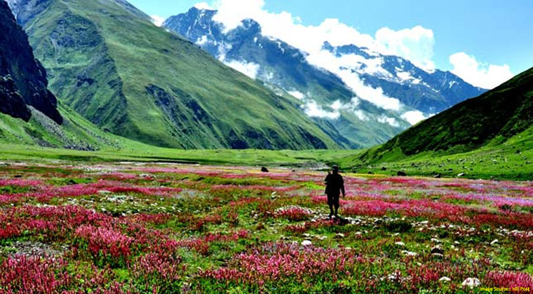 Valley of Flowers Uttarakhand Package