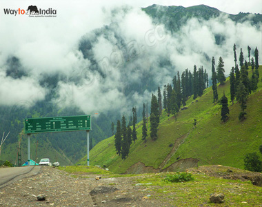 Amarnath Yatra