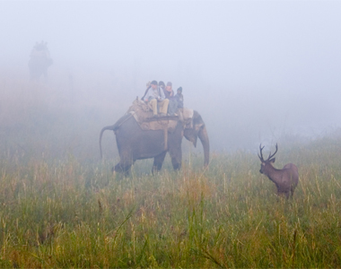 Corbett Jeep Safari Tour