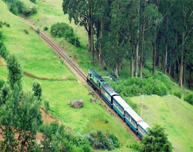 Hill Stations Of South India Tour