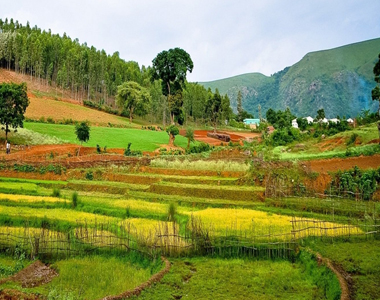 Hyderabad to Araku Tour Packages