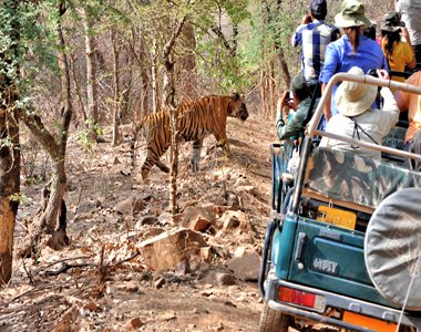 Jim Corbett Park With Nainital Tour