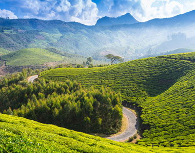 Kerala Nature Trails