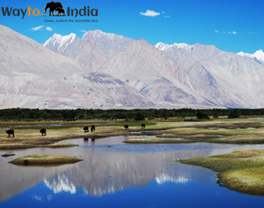 Ladakh with Pangong Lake