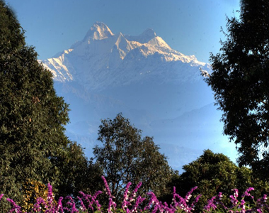 Ranikhet Hill Tour