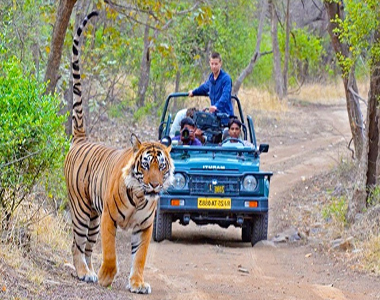 Ranthambore Package