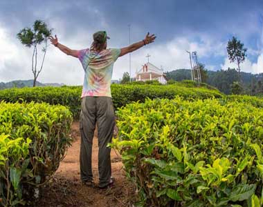 South India Hill Station Tour