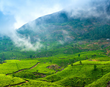 Ooty Kodaikanal Munnar Tour Package