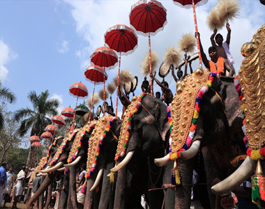 Thrissur Elephant Festival Kerala