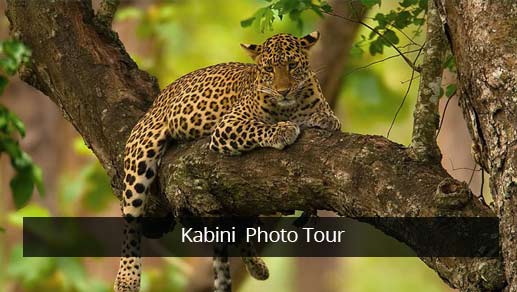 kabini photography tour