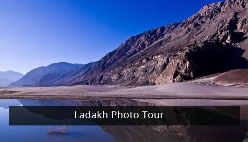 ladakh tour