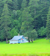 Himachal Travel Deals