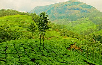 kerala travel deals